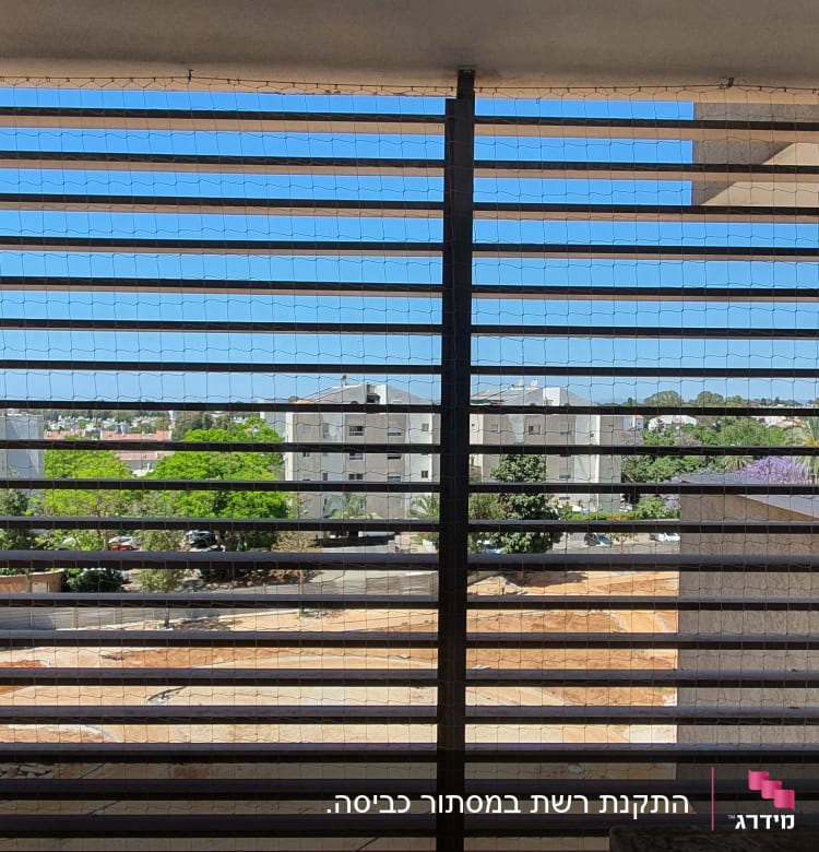 רשת למניעת כניסת יונים במרפסת